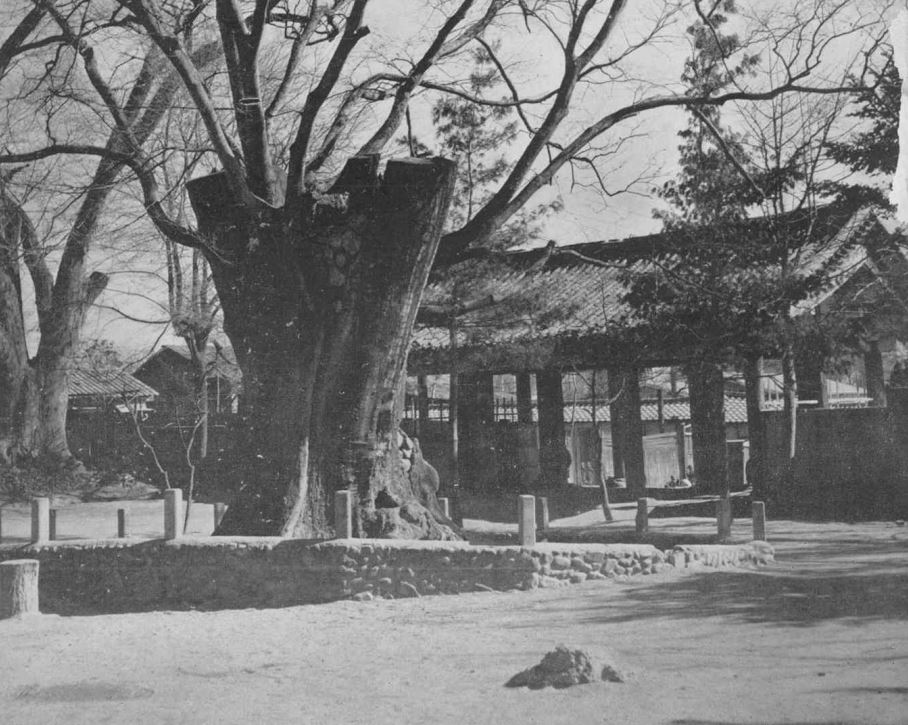 사직단 정문의 이축이전 배면모습(1957_This is SEOUL)